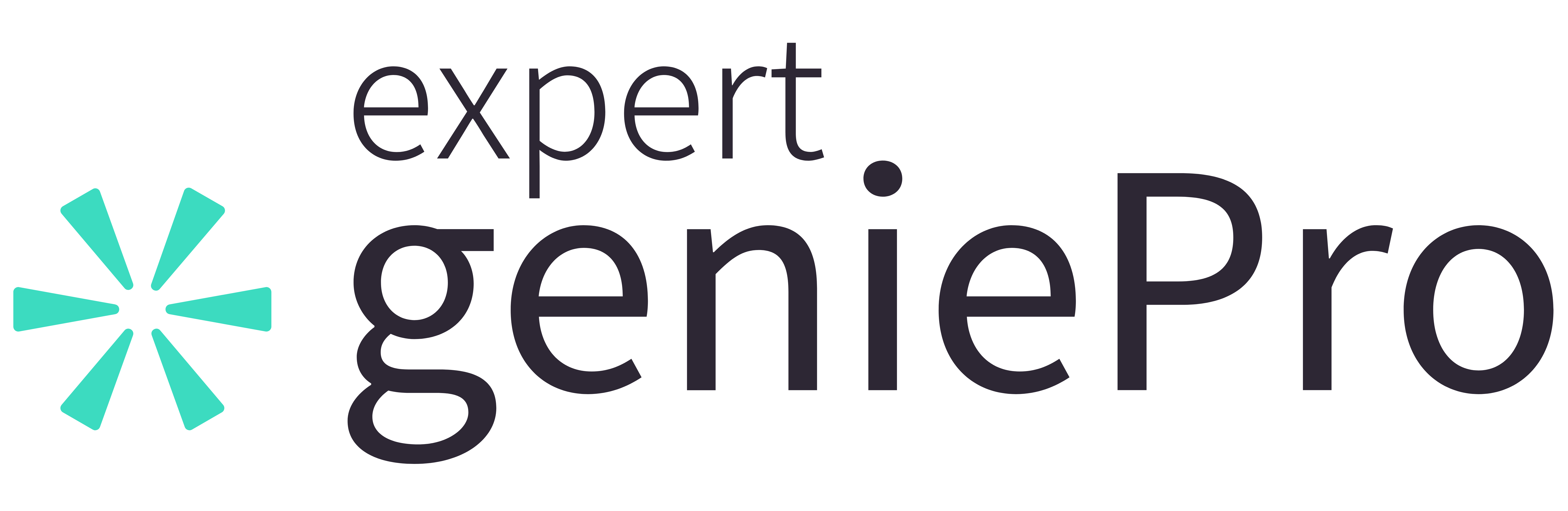 Expert Genie Pro Logo